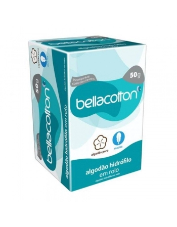 CLIPS GALVANIZADO 6/0 500G COM 220UN - BACCHI