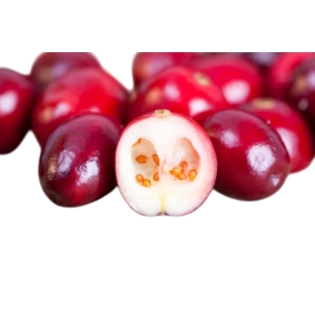 PUDIM BRETZKE MORANGO 50G