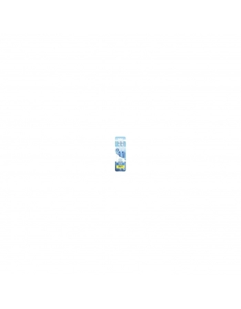 CHA CARQUEJA DOCE 50G SANTO CHA