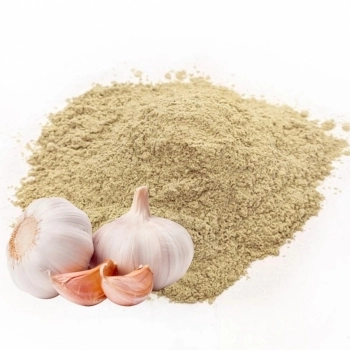 ALHO DESIDRATADO EM PO MONCHEF SC 250G