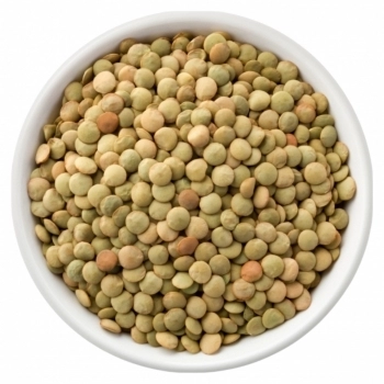 LENTILHA CANADENSE 1KG